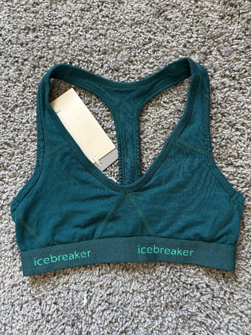 Teal Turquoise Icebreaker Sports Bra